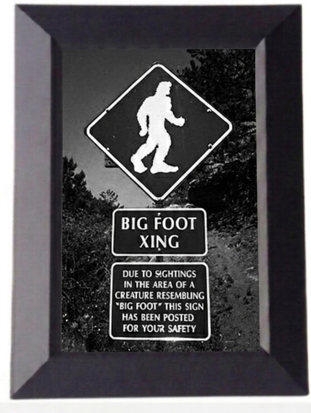 Sasquatch sign Edgy Alternative Framed Photo enter at your own risk funny aliens